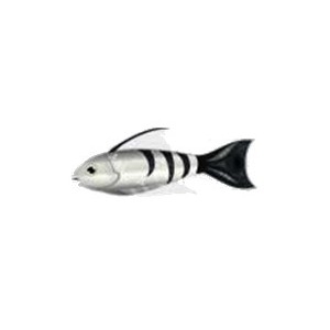 Black Tail Tiger Fish